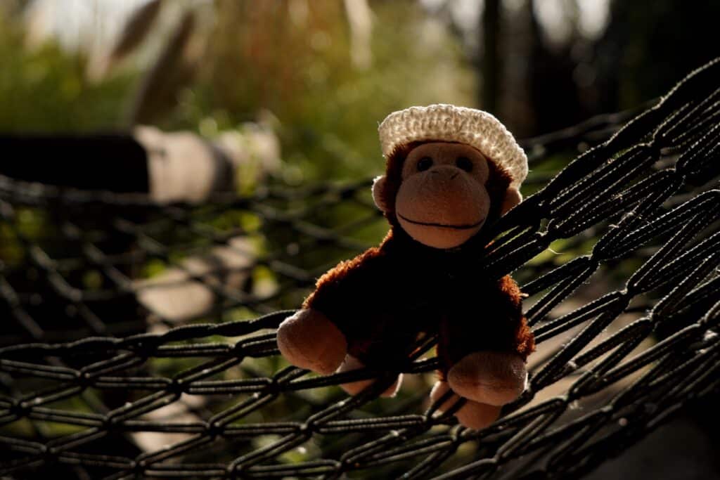 Charlie in a hammock at Casa Paco D'Ilhas