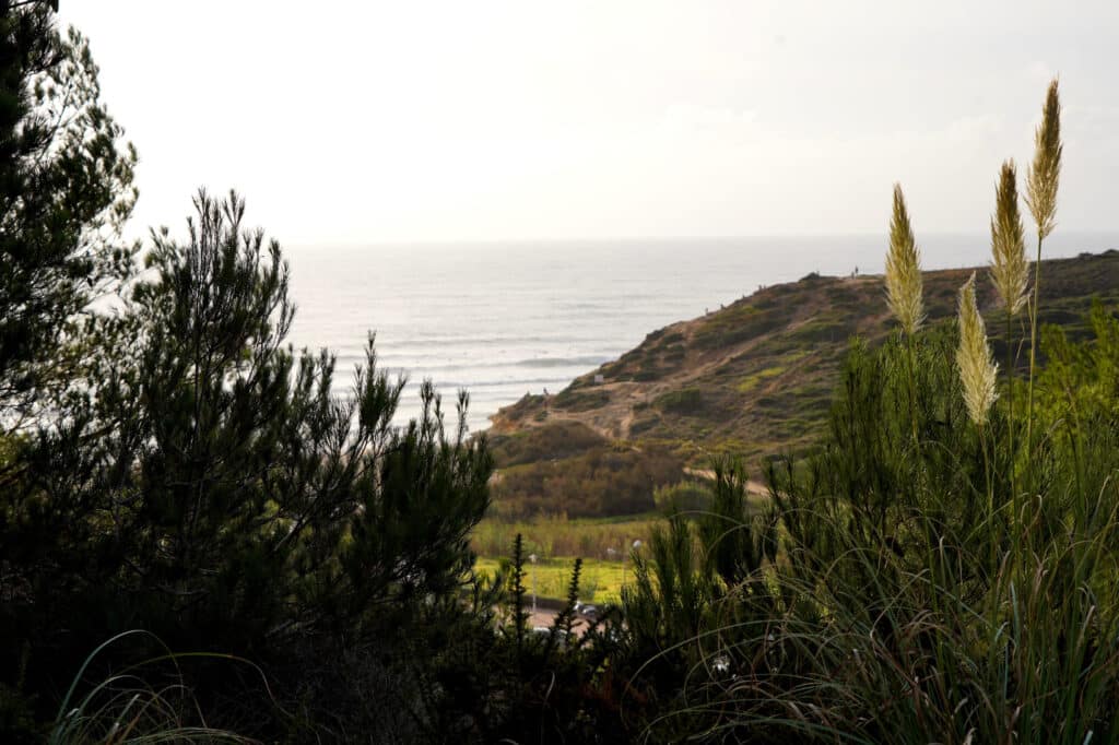 View over Ribeira D'Ilhas in Ericeira