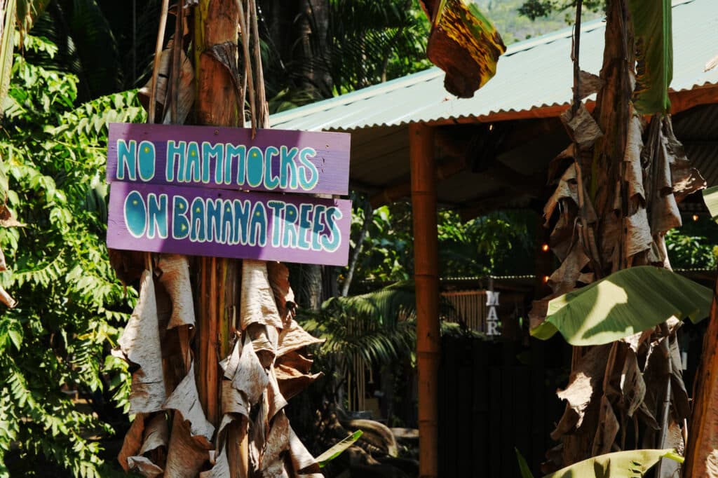 Sign for no hammocks on banana trees