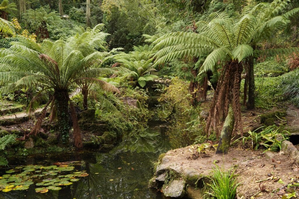 Pena Garden near Pena Palace