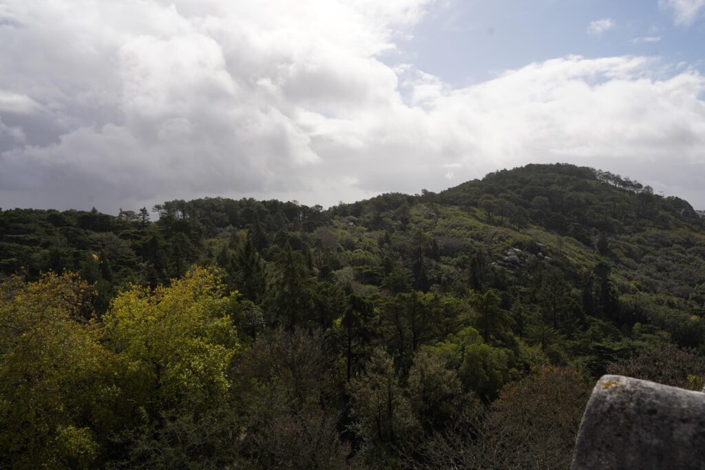 View over the landscape surrounding Pena Palace