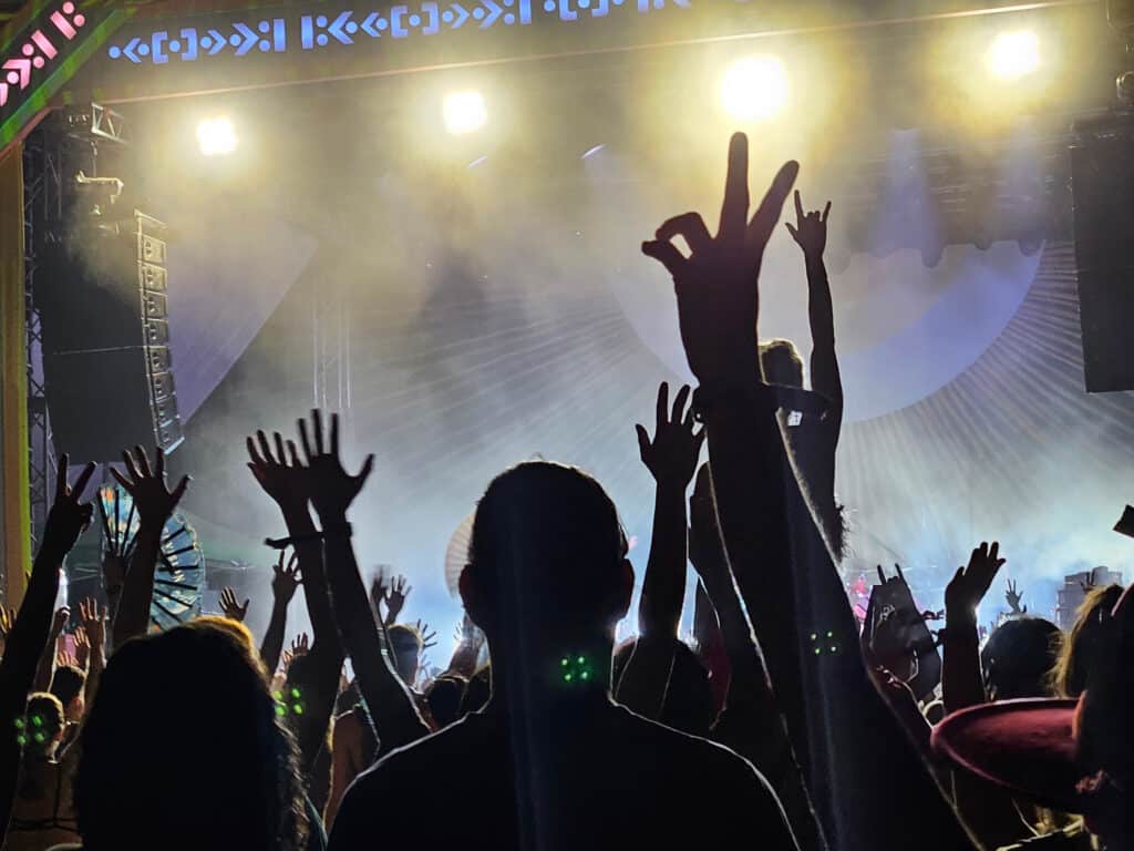 Crowd cheering at Envision festival