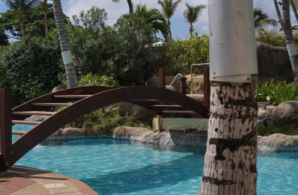 at the Hilton in Barbados