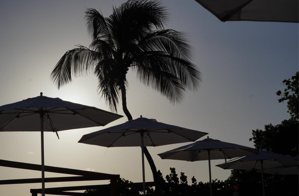 at the Hilton in Barbados