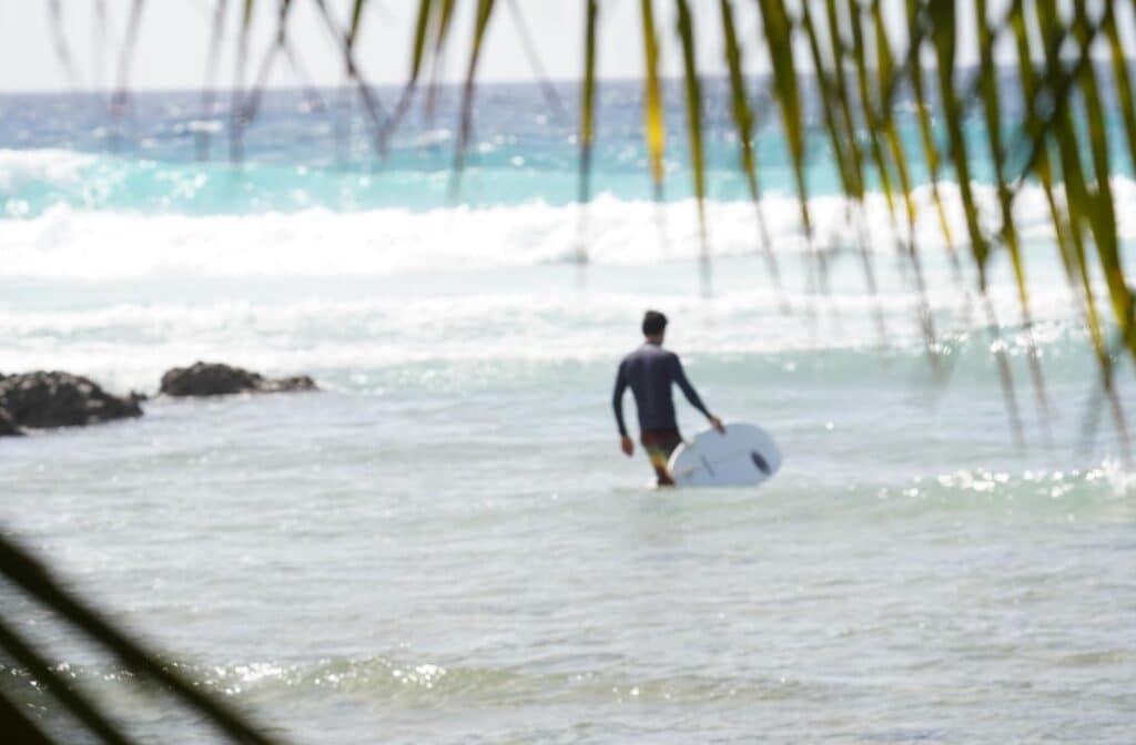 surfing in Barbados