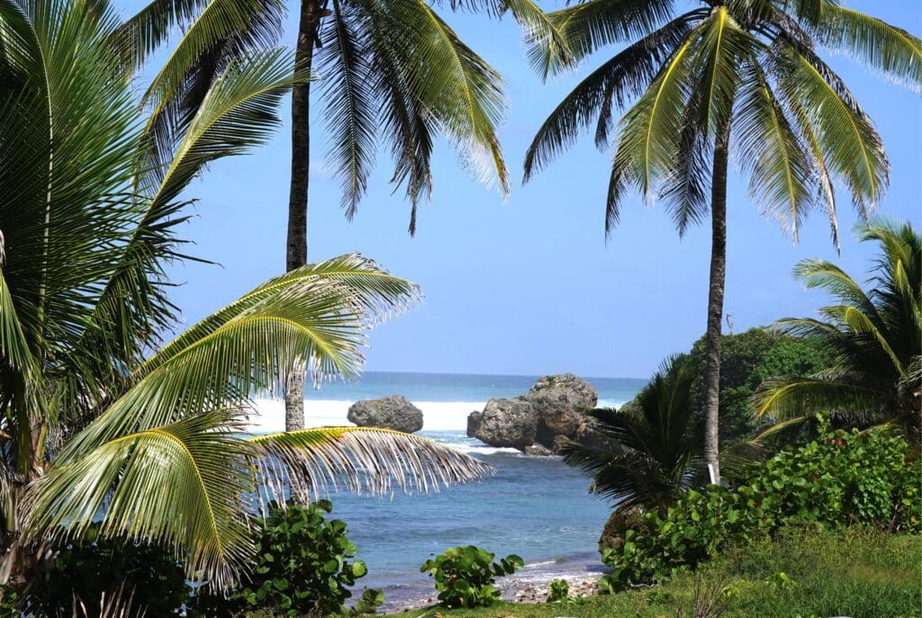 Bathsheba beach in Barbados