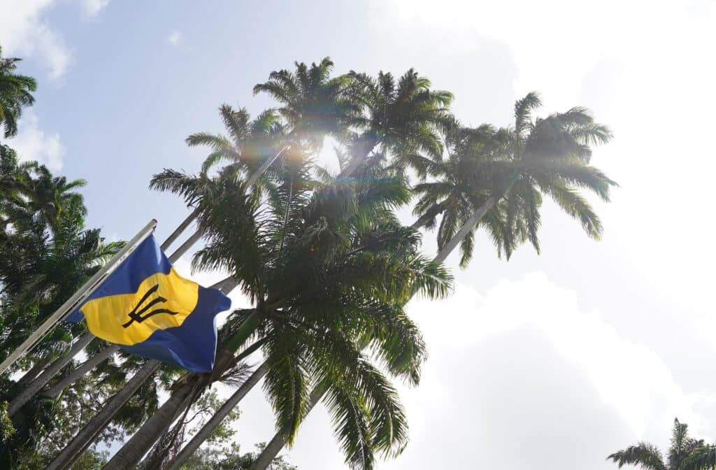 Barbados flag and palm trees