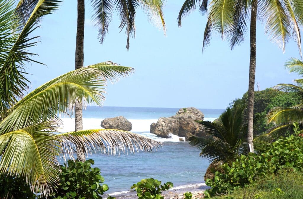 Bathsheba in Barbados
