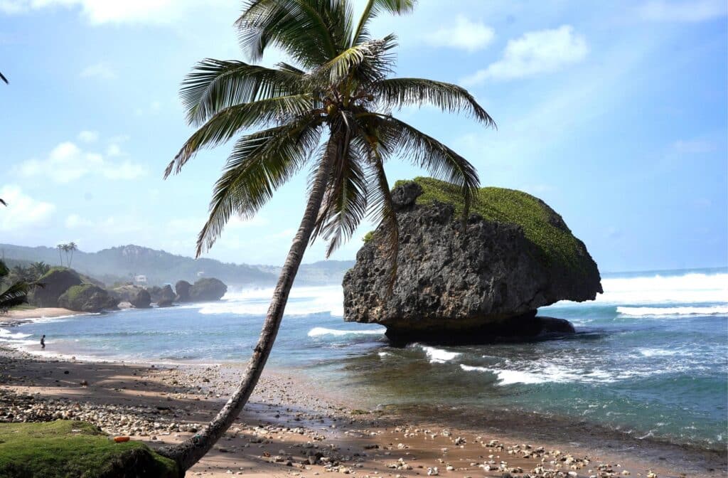 Bathsheba mushroom rock in Barbados