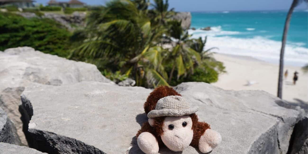 Charlie at Bottom Bay in Barbados