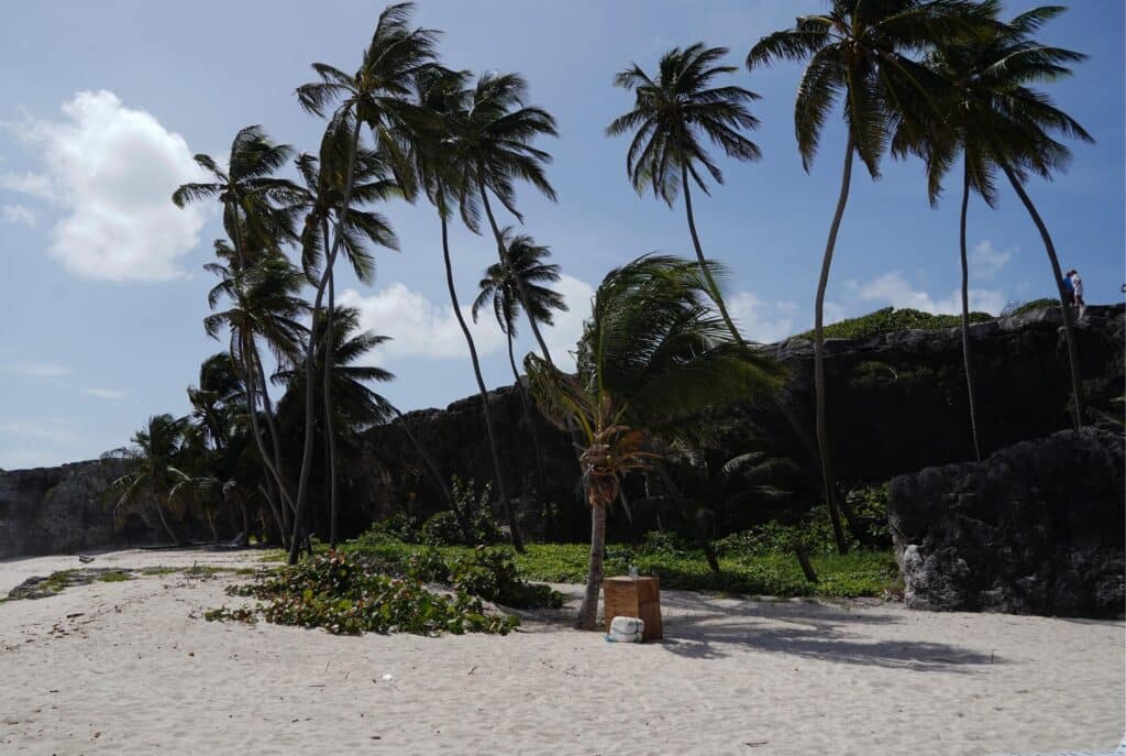 Bottom bay beach in Barbados