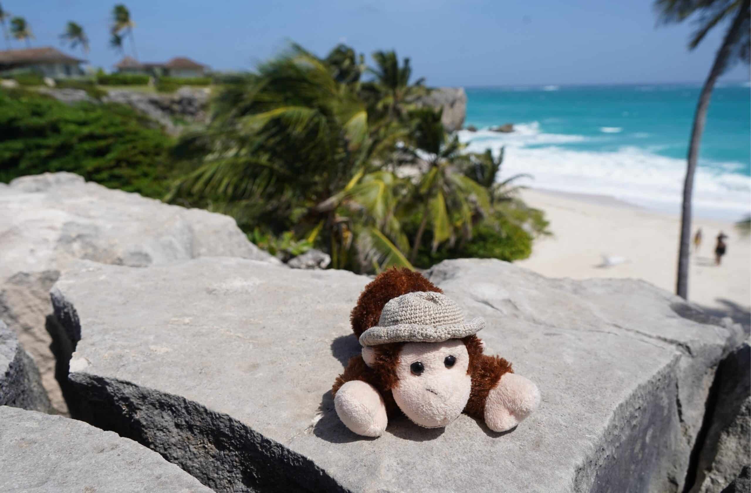 Charlie at Bottom Bay in Barbados