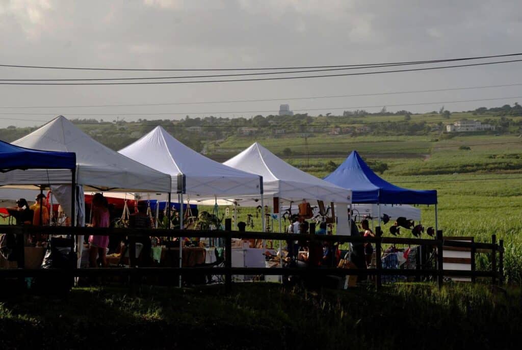 Brighton market in Barbados