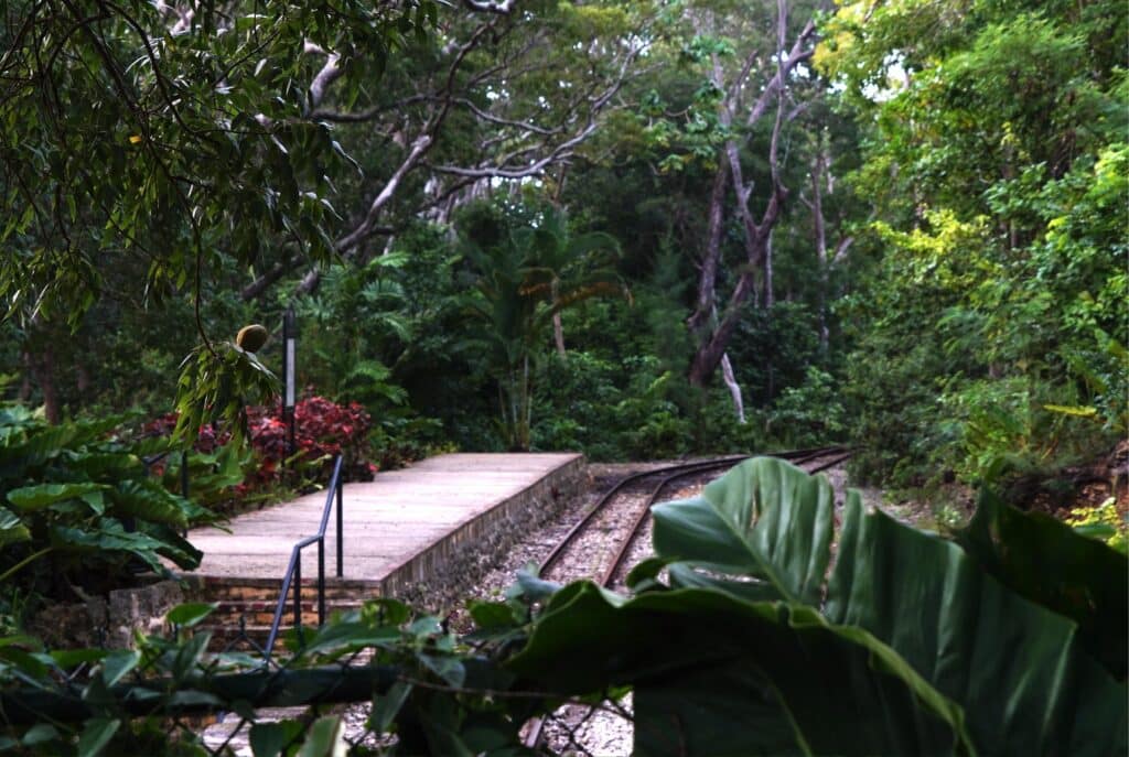 St. Nicholas Abbey Heritage Railway