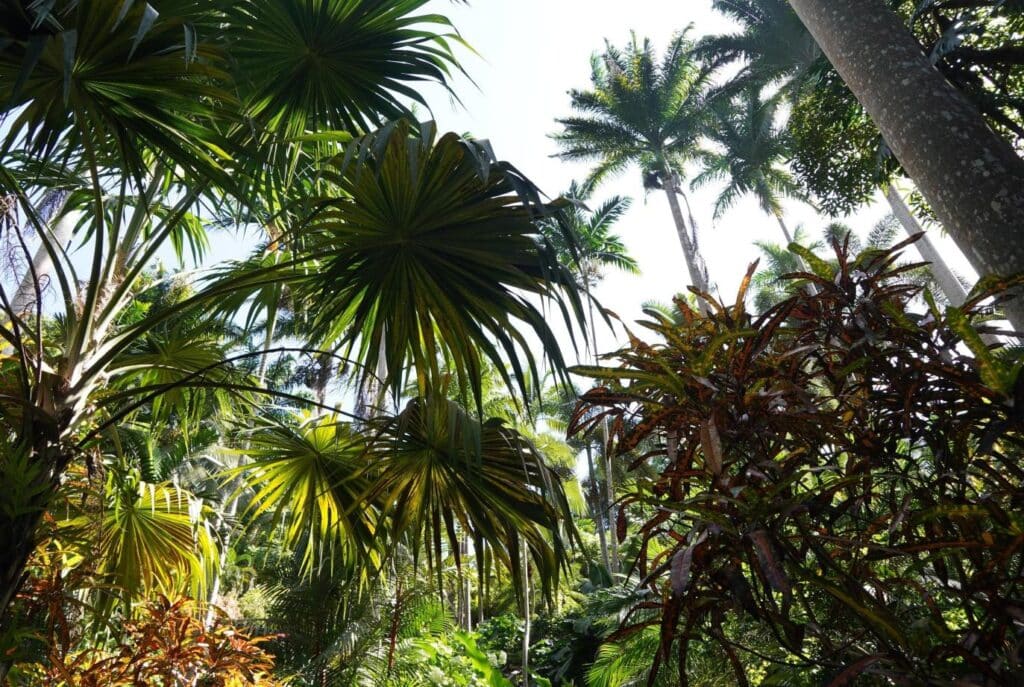 Hunte's Gardens in Barbados