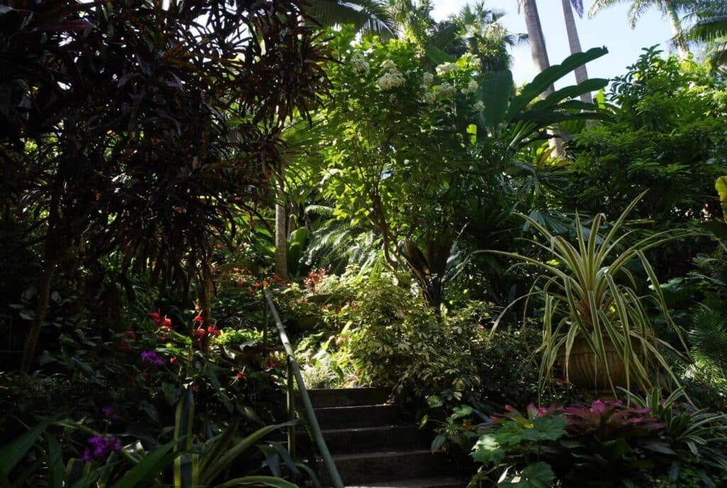 Hunte's Gardens in Barbados