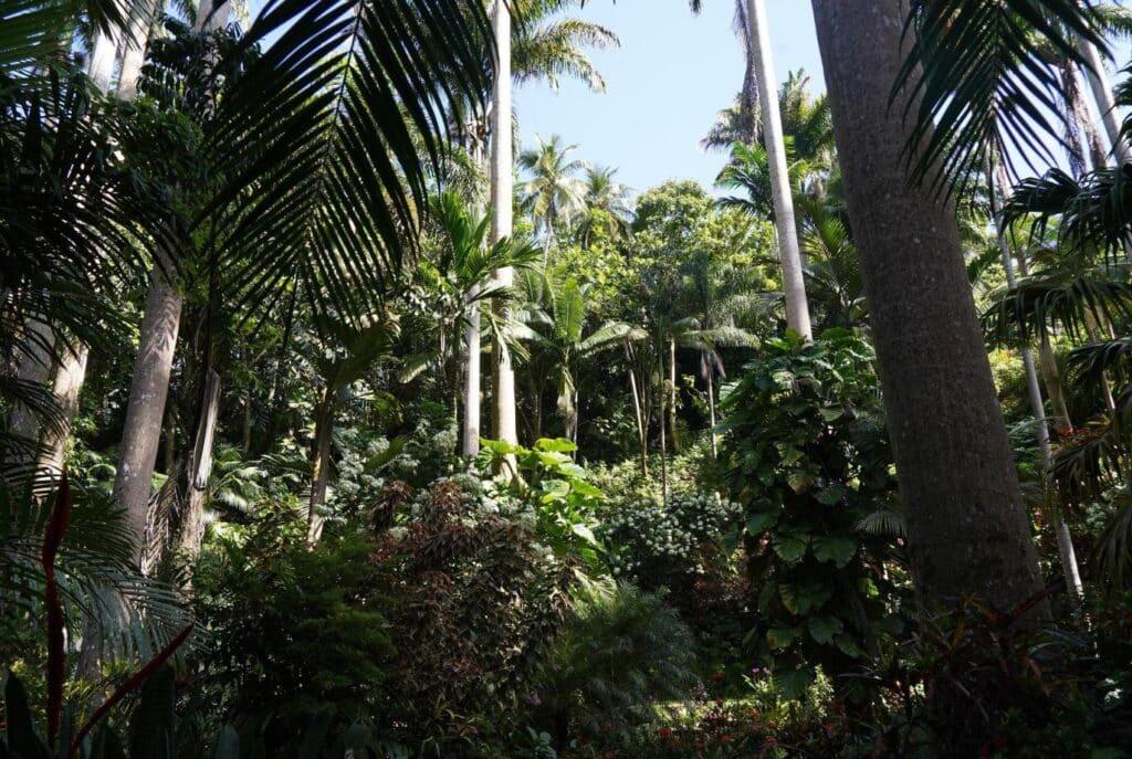 Hunte's Gardens in Barbados