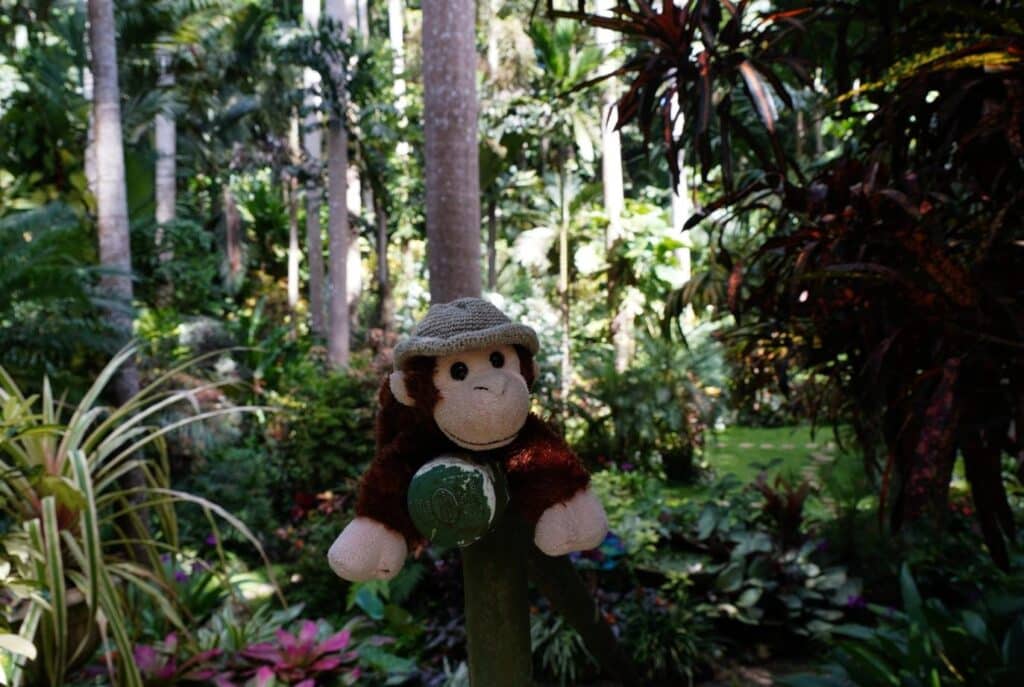 Hunte's Gardens in Barbados