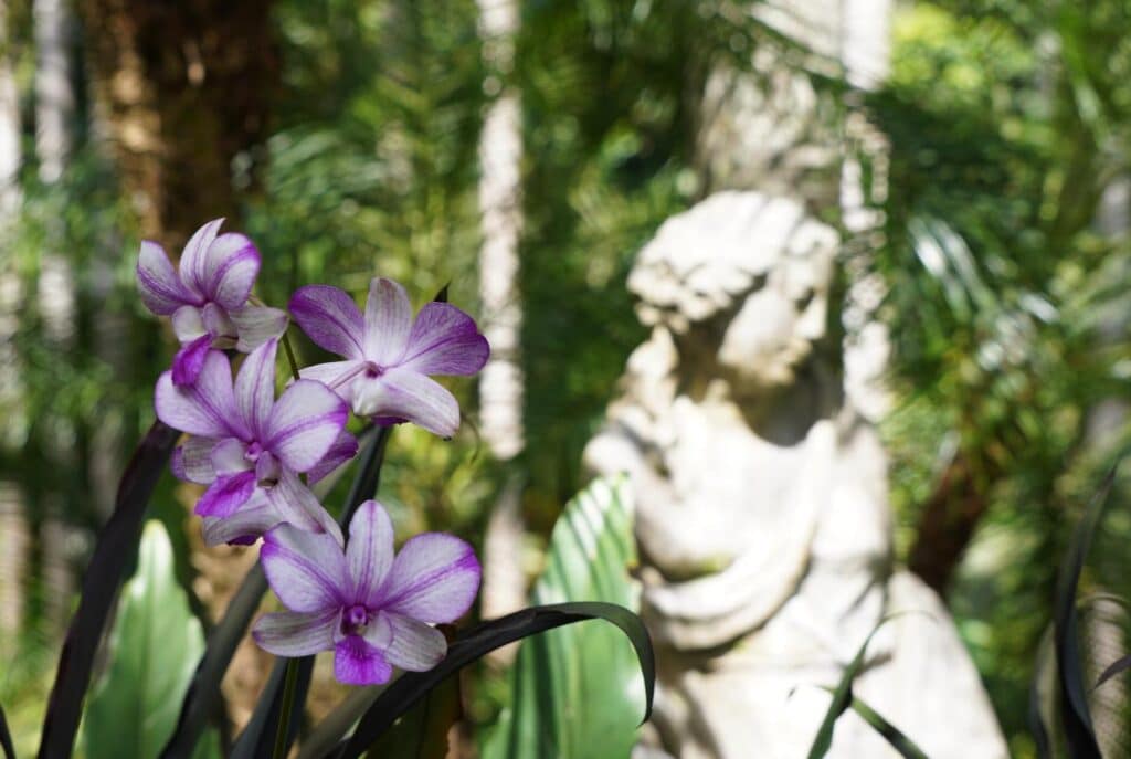 Hunte's Gardens in Barbados
