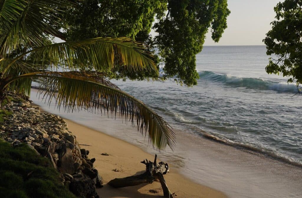 beach near Moontown