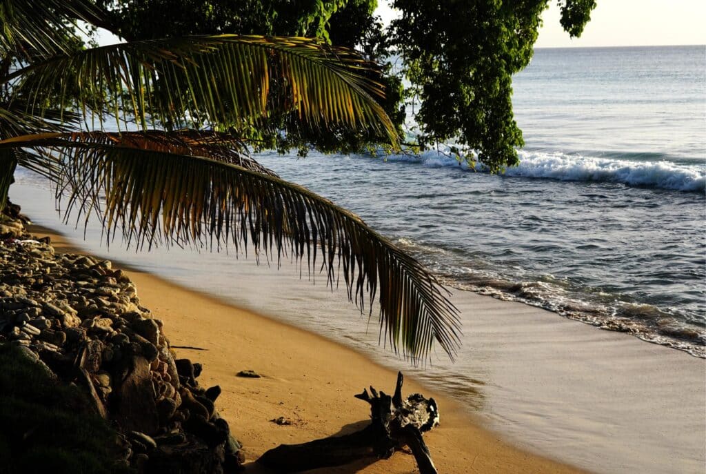 beach near Moontown