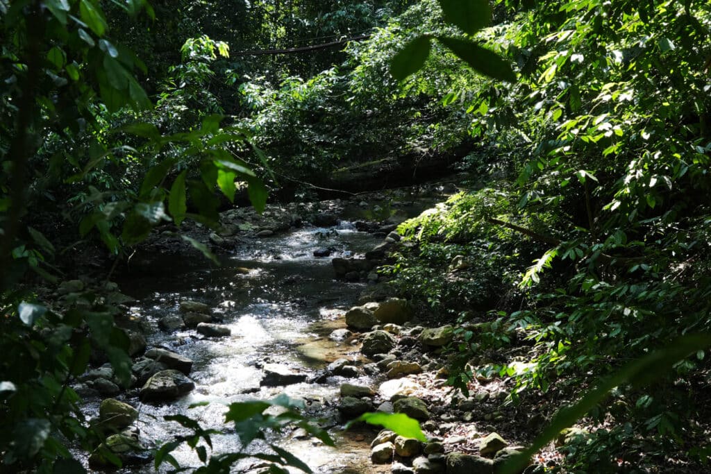 hike to a waterfall in the Osa Peninsula