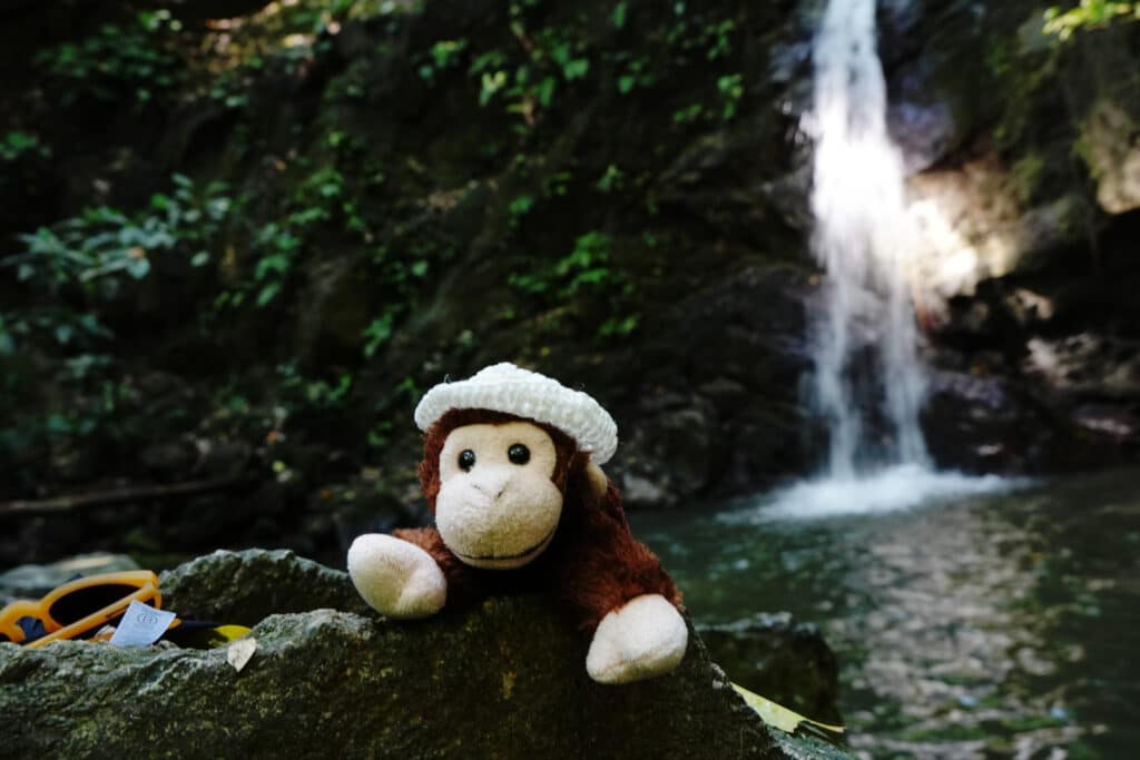 Charlie in front of the waterfall in the Osa Peninsula