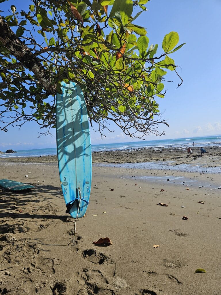Surfboard on the beach