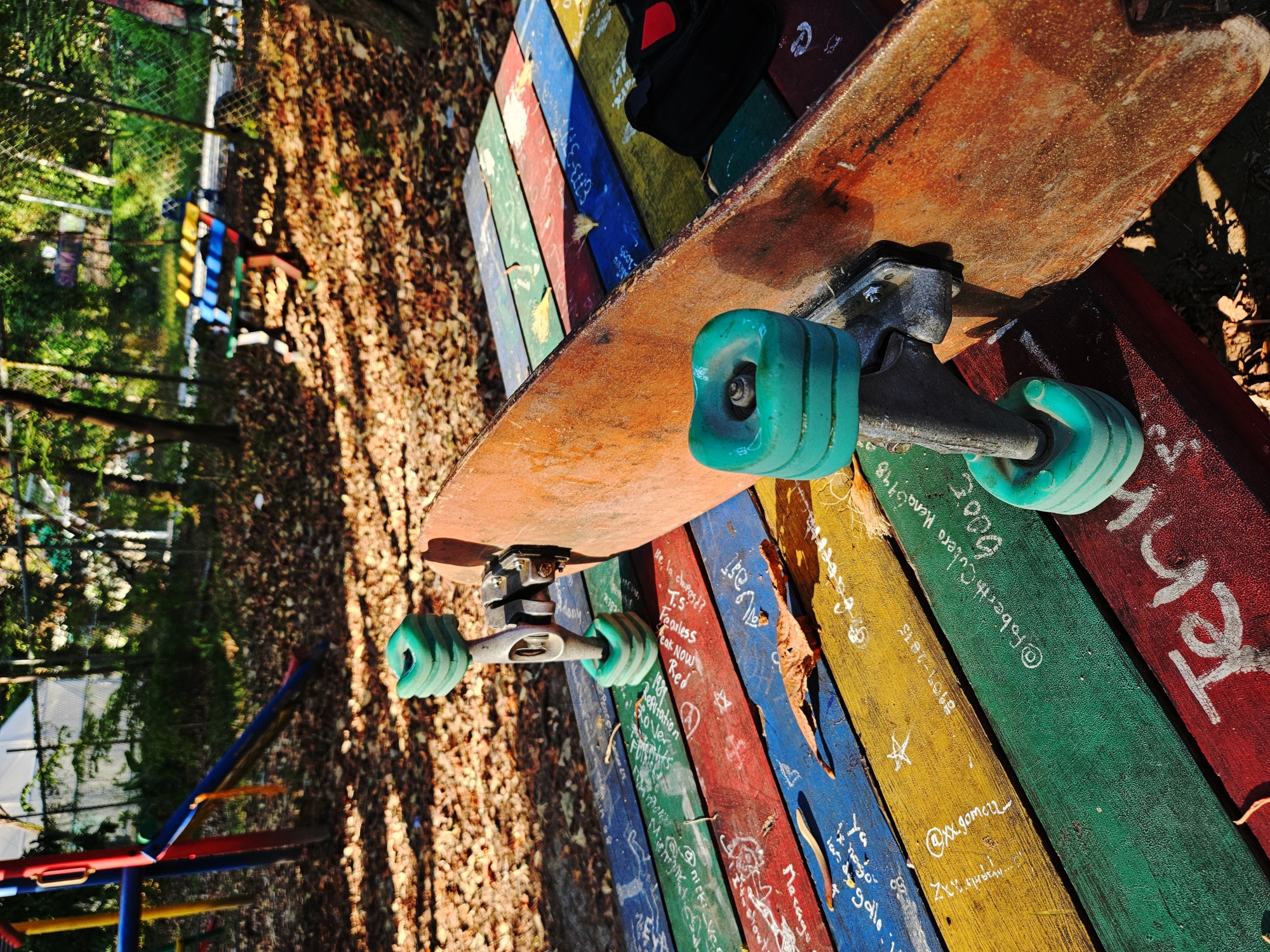 Skateboard at the Skatepark in Santa Teresa