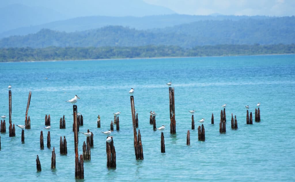 Cahuita National Park