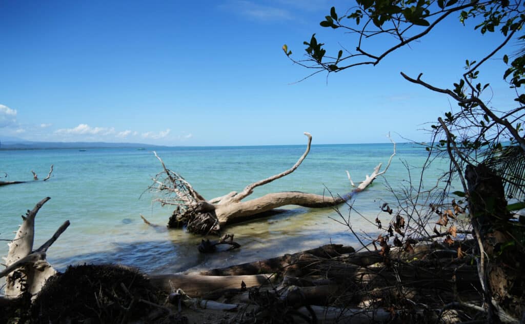 Cahuita National Park