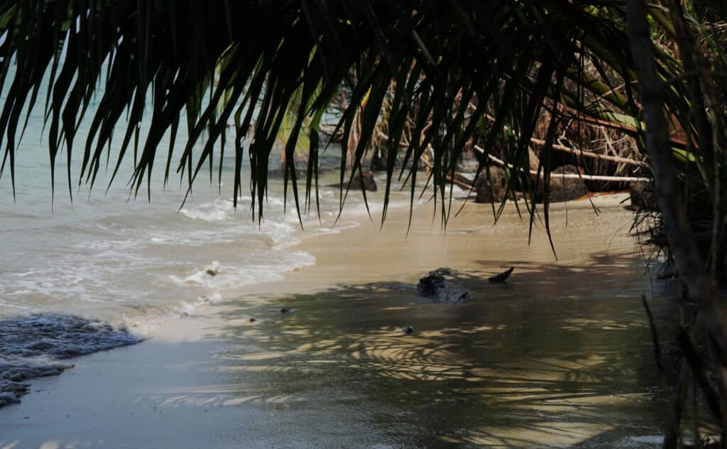 Cahuita National Park