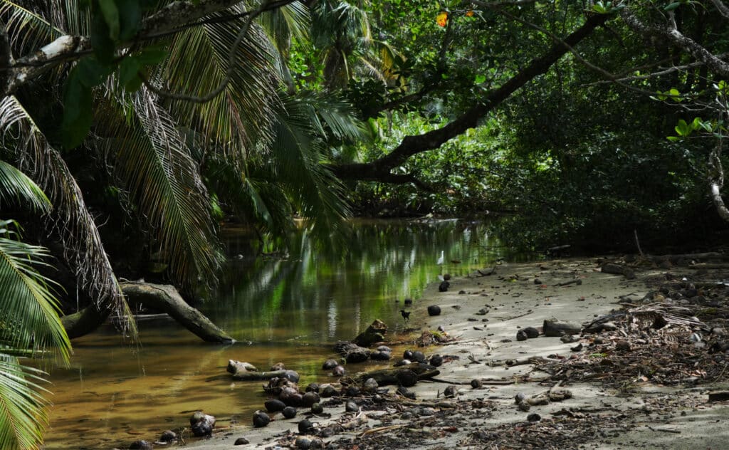 Cahuita National Park