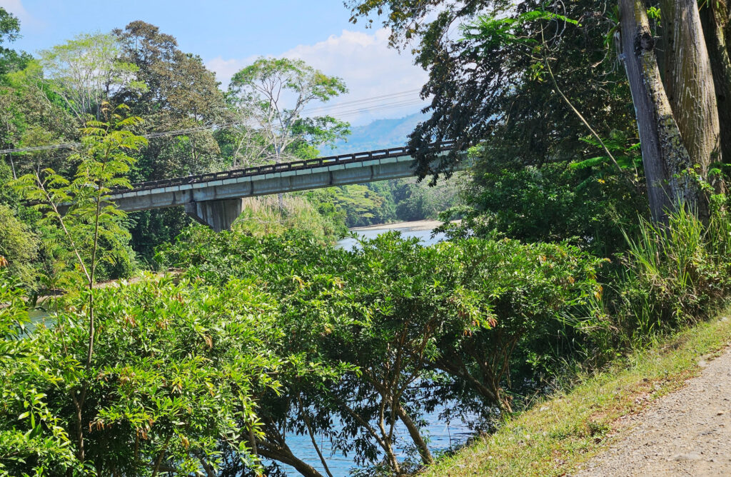 Dominical