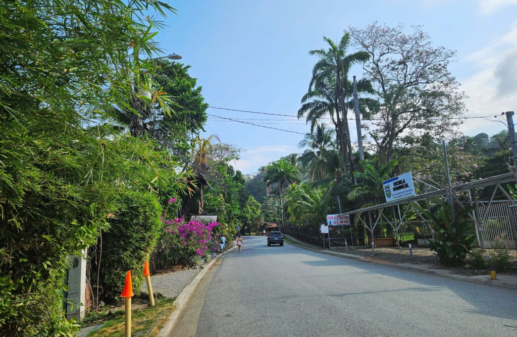 Dominical
