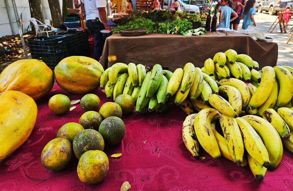 Farmers market in Dominical