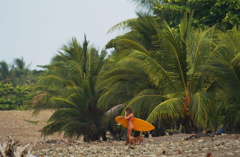Surfing in Dominical