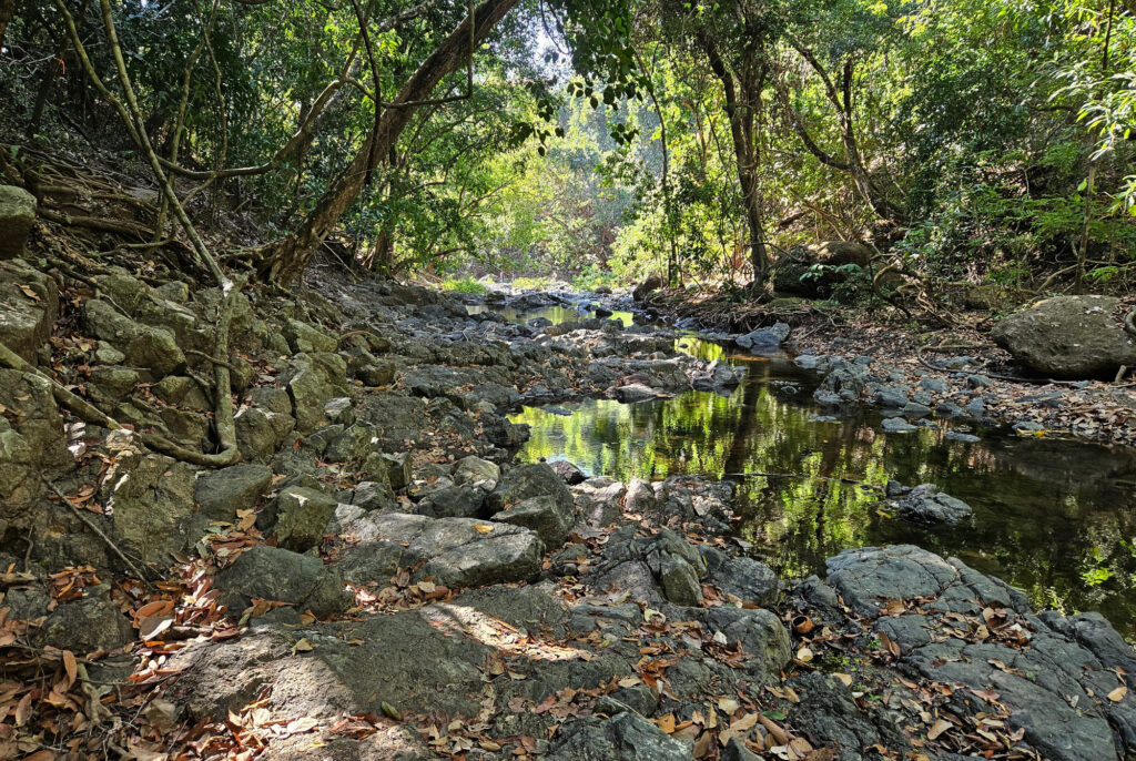 Montezuma waterfalls