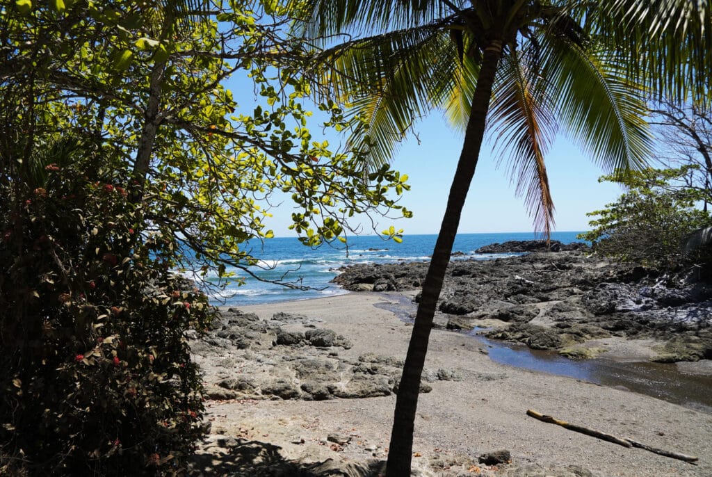 Montezuma