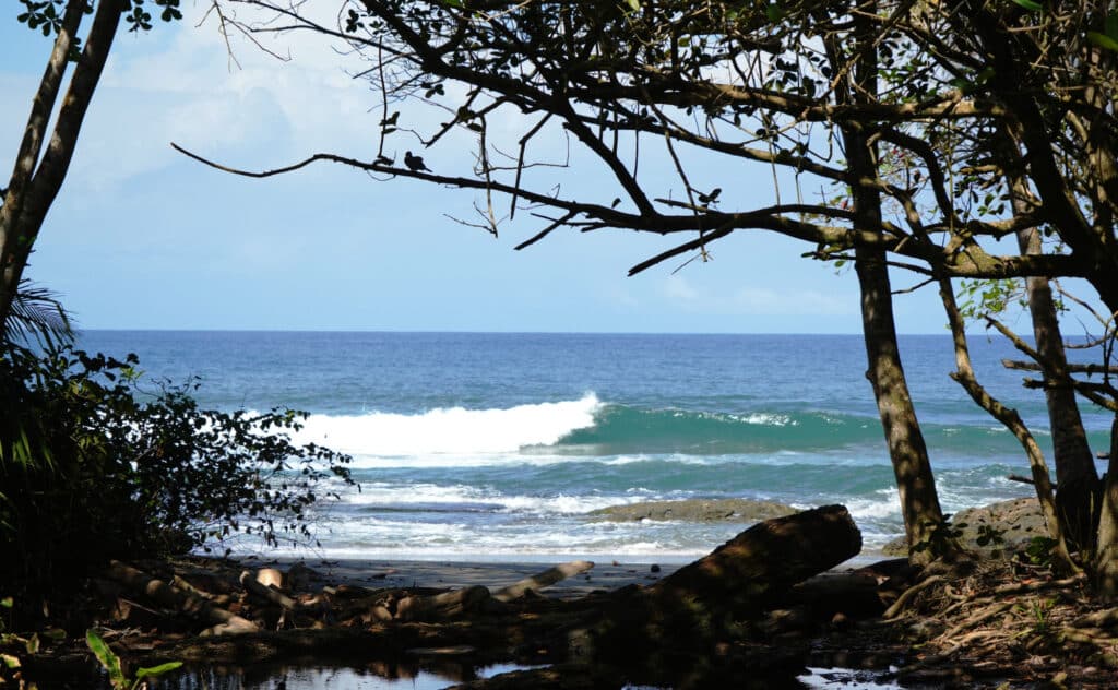 Playa Cocles in Puerto Viejo