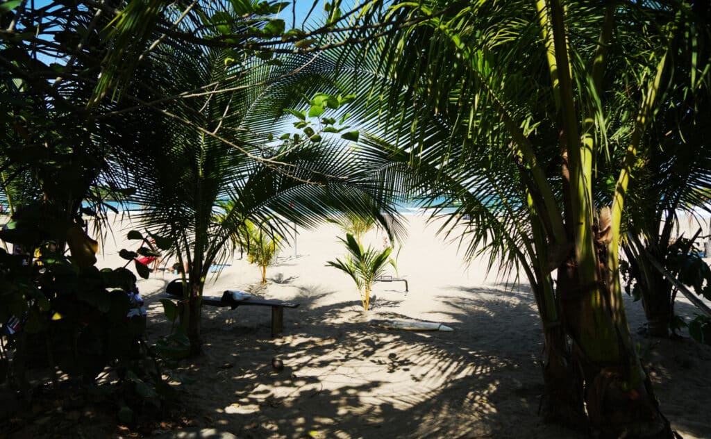 Playa Cocles in Puerto Viejo