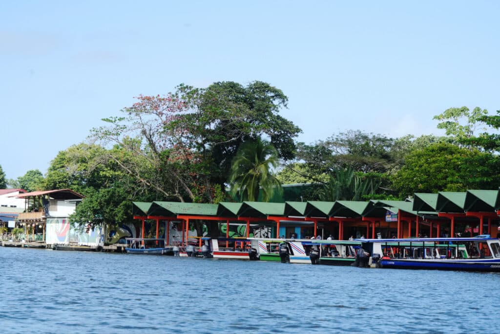 Boat trip to Tortuguero