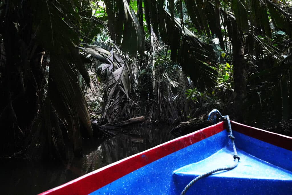 Tortuguero National Park