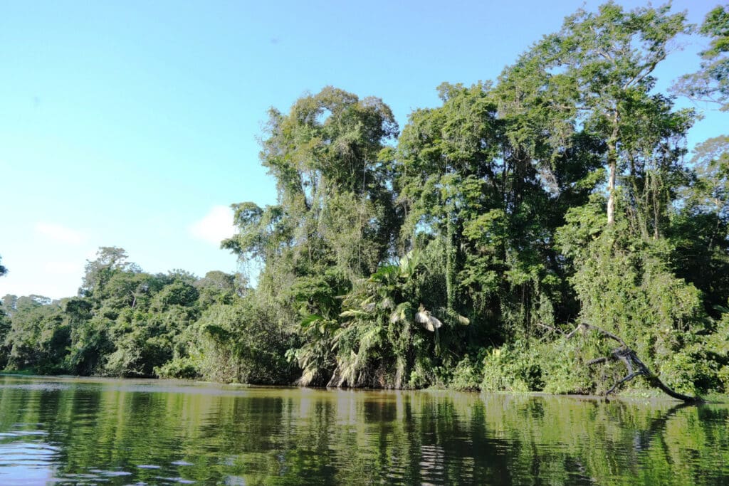 Tortuguero National Park