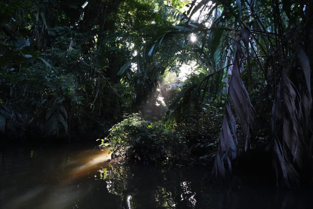 Tortuguero National Park