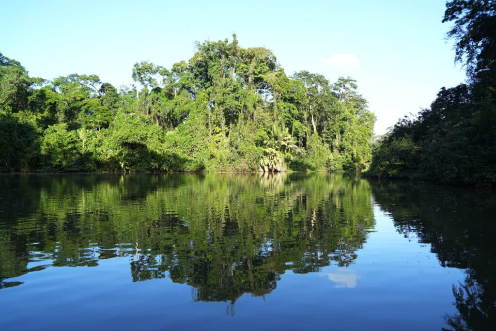 Boat trip to Tortuguero