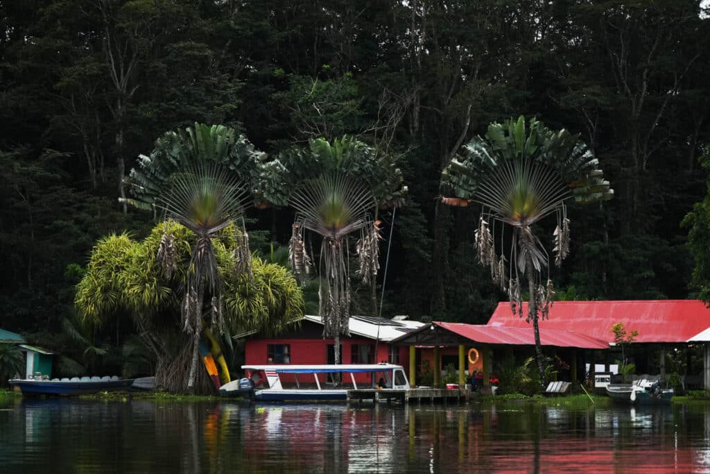 Boat trip to Tortuguero