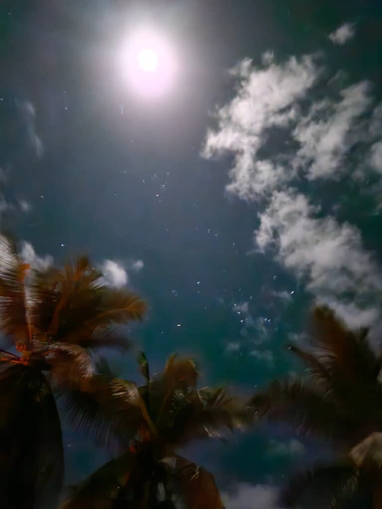 Tortuguero at night