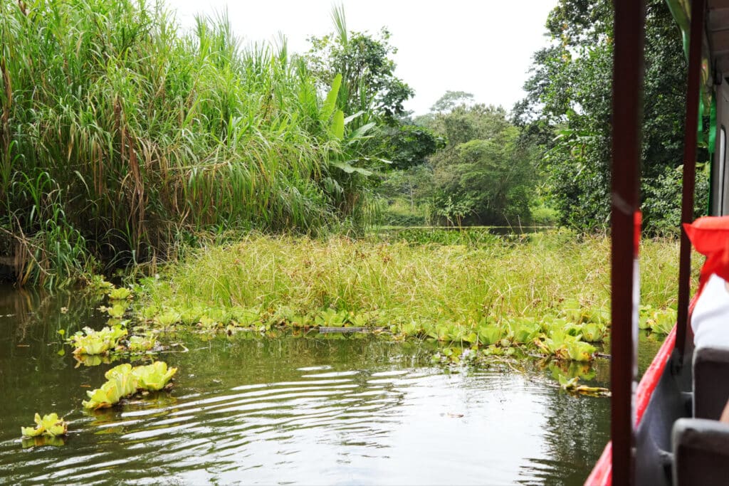 Boat trip to Tortuguero