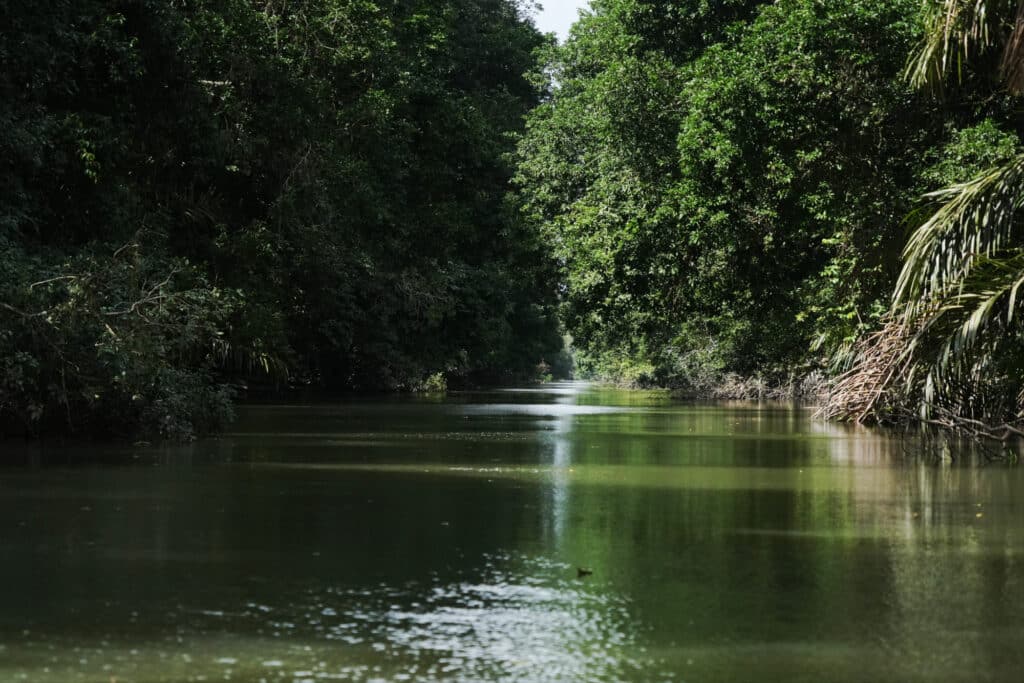 Boat trip to Tortuguero